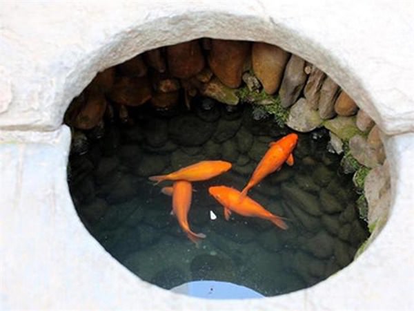 Kát quá hÃnh ánh cho giáng cÃ chÃp