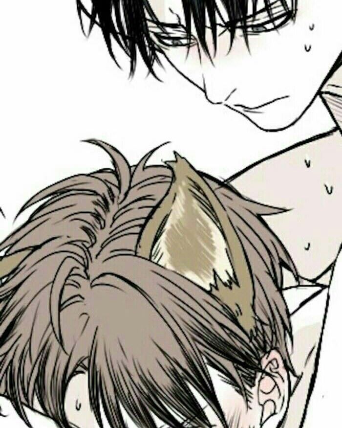 14717186_1618169088483910_7317042200629093186_n