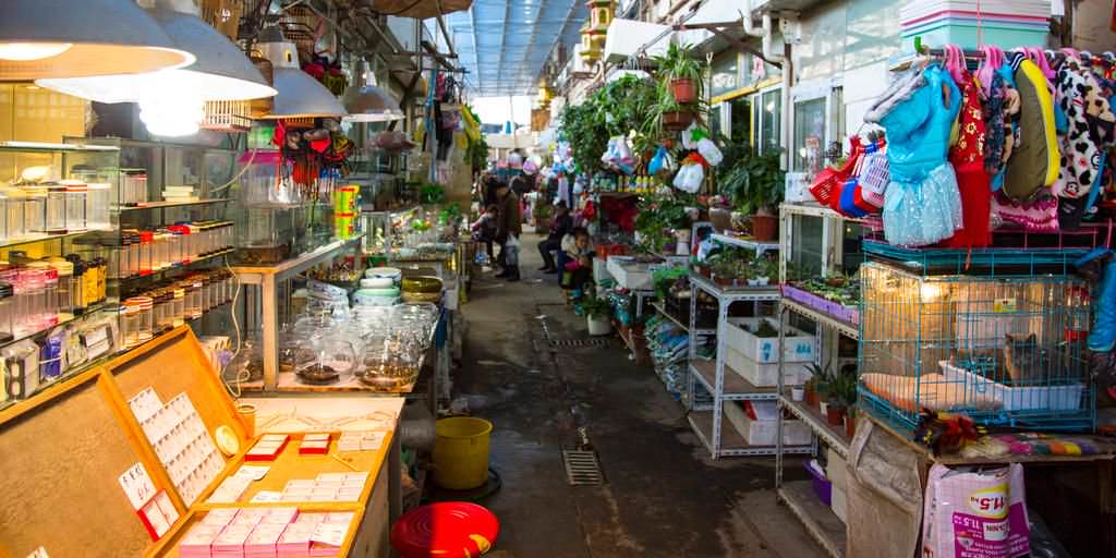  chợ hoa điểu chợ bán cây cảnh và vật nuôi là một điểm buôn bán và cũng là một đặc sản du lịch tại nhiều thành phố Trung Quốc