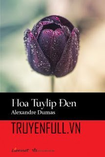 Hoa Tulip Đen
